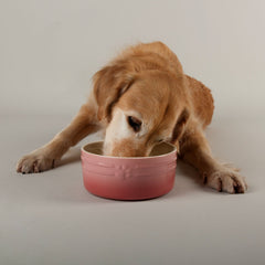 Scruffs Ombre Pink 2 Piece Dog Bowl Set