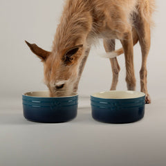 Scruffs Ombre Blue 2 Piece Dog Bowl Set