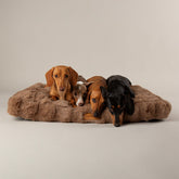 Scruffs Alpine Taupe Dog Mattress