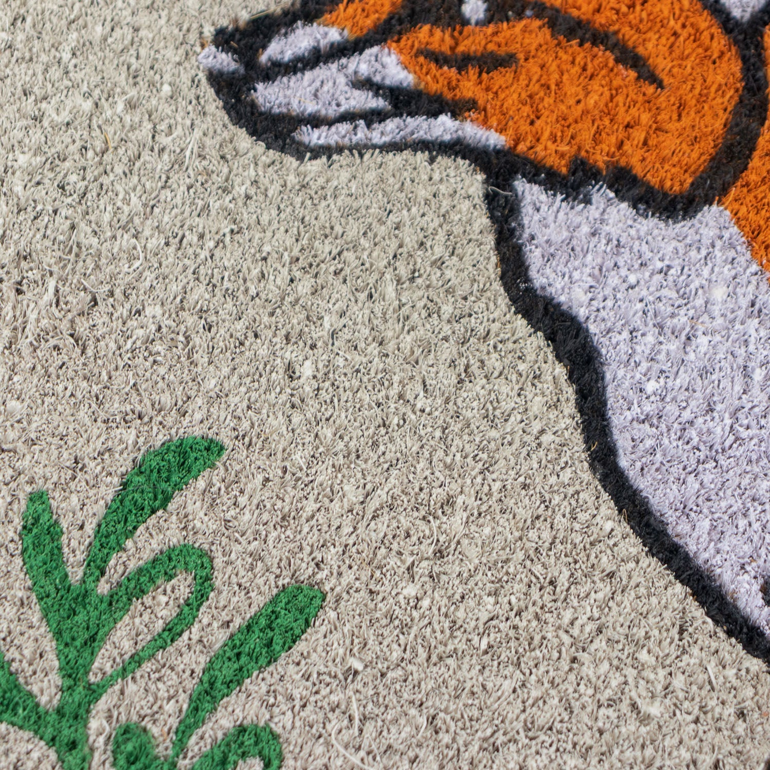 Fox Eco-Friendly Latex Backed Coir Entrance Doormat