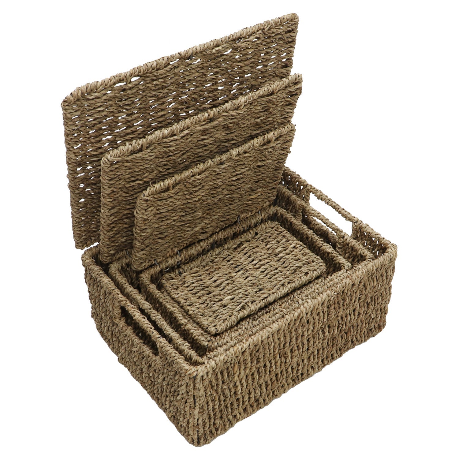 Seagrass Set of 4 Rectangular Lidded Storage Baskets