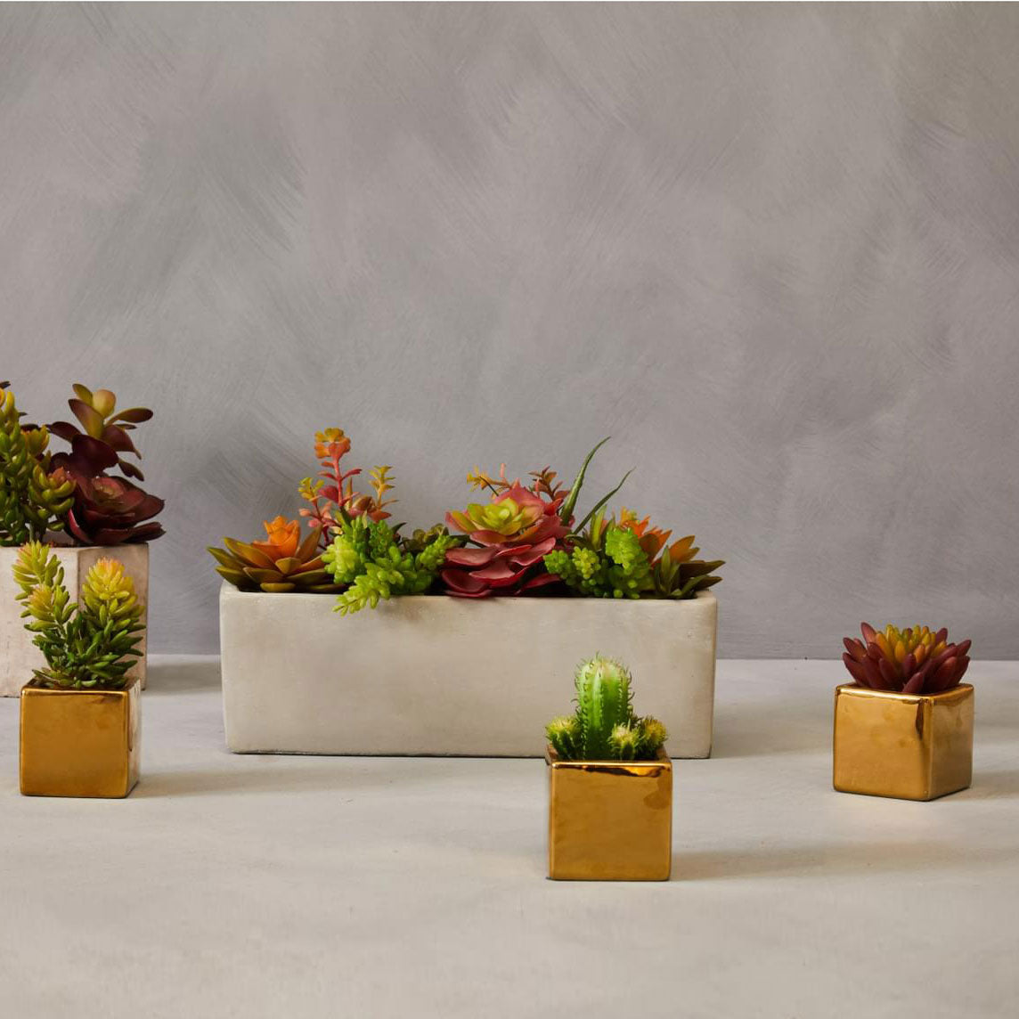 Fiori Mini Succulents in Gold Pots - Set of 3