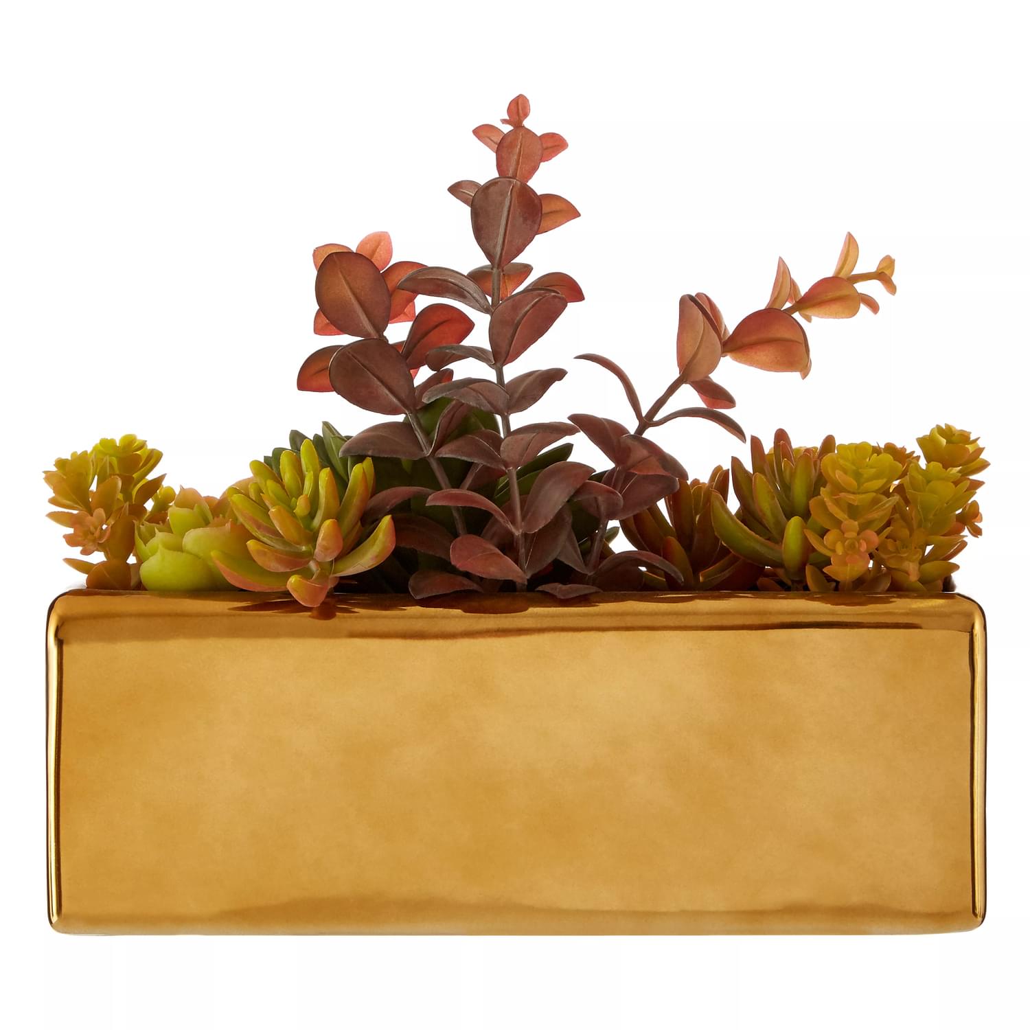Fiori Mixed Succulents with Ceramic Gold Pot