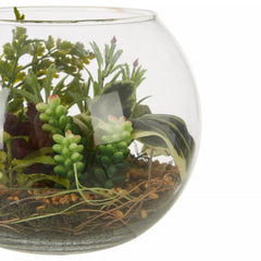 Fiori Large Glass Pot Mixed Succulent