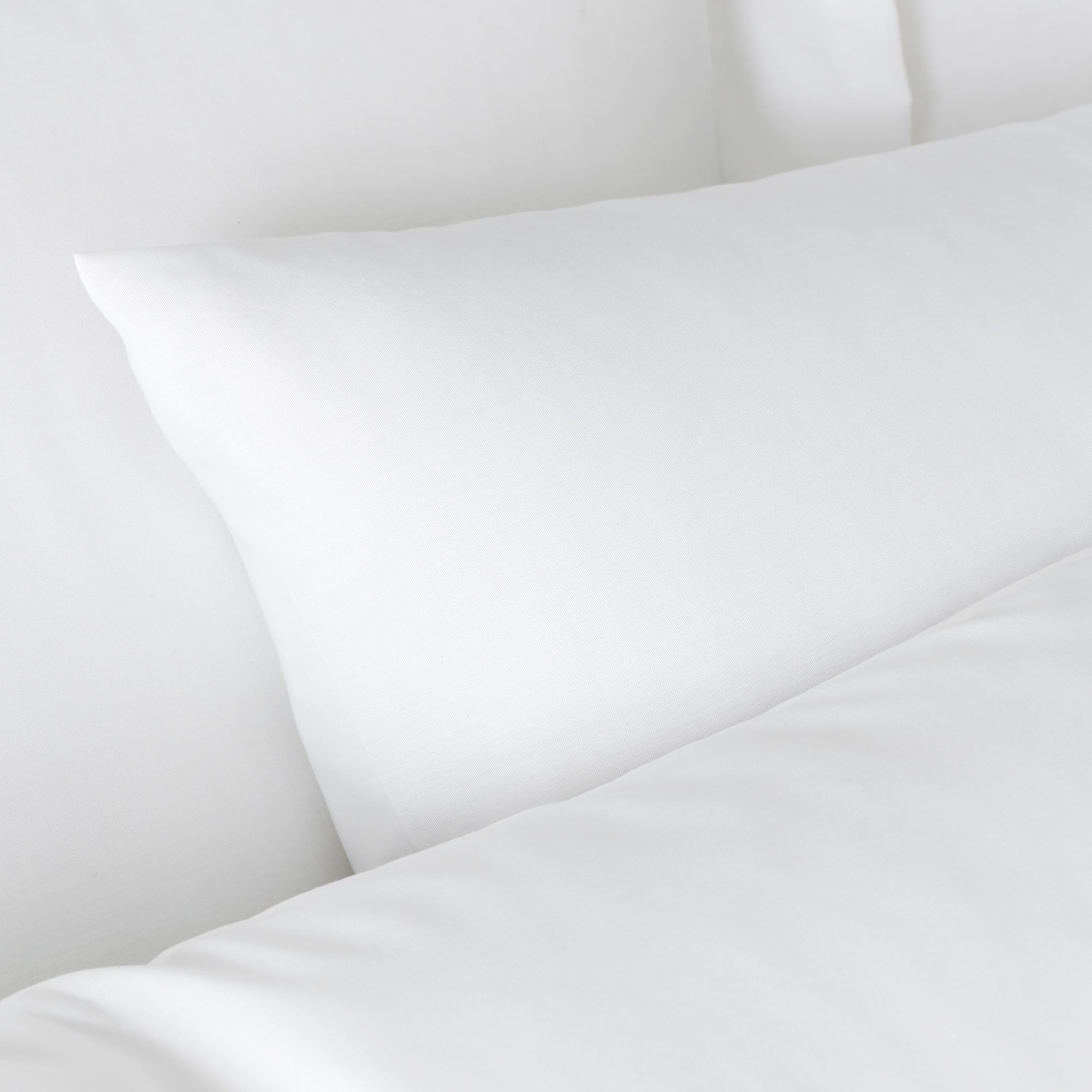 Bianca White 180 Thread Count 100% Egyptian Cotton Housewife Pillowcase Pair
