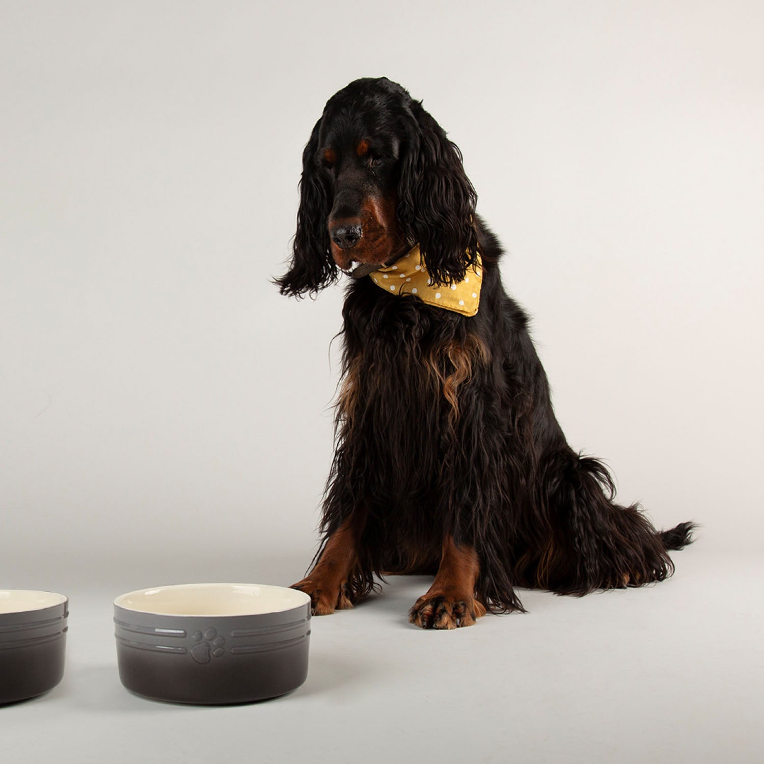 Scruffs Ombre Grey 2 Piece Dog Bowl Set