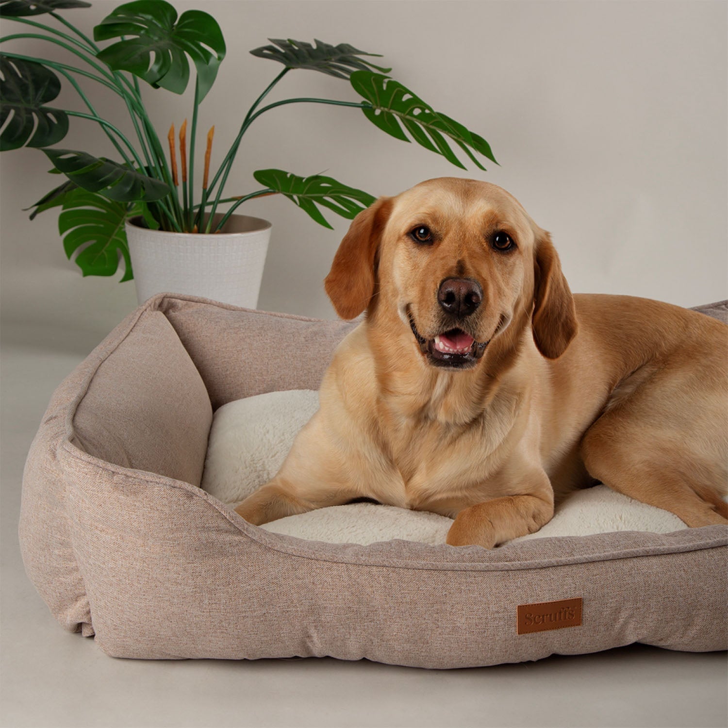 Scruffs Harmony Tan Dog Box Bed