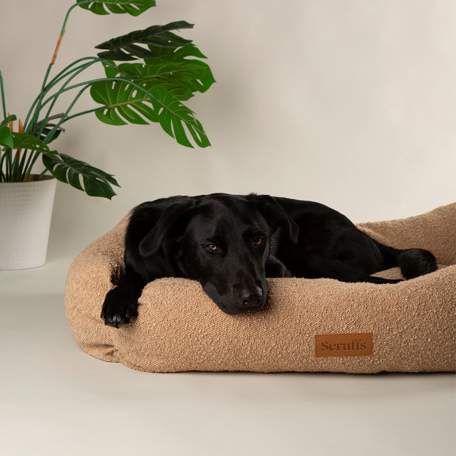 Scruffs Boucle Desert Tan Dog Bed