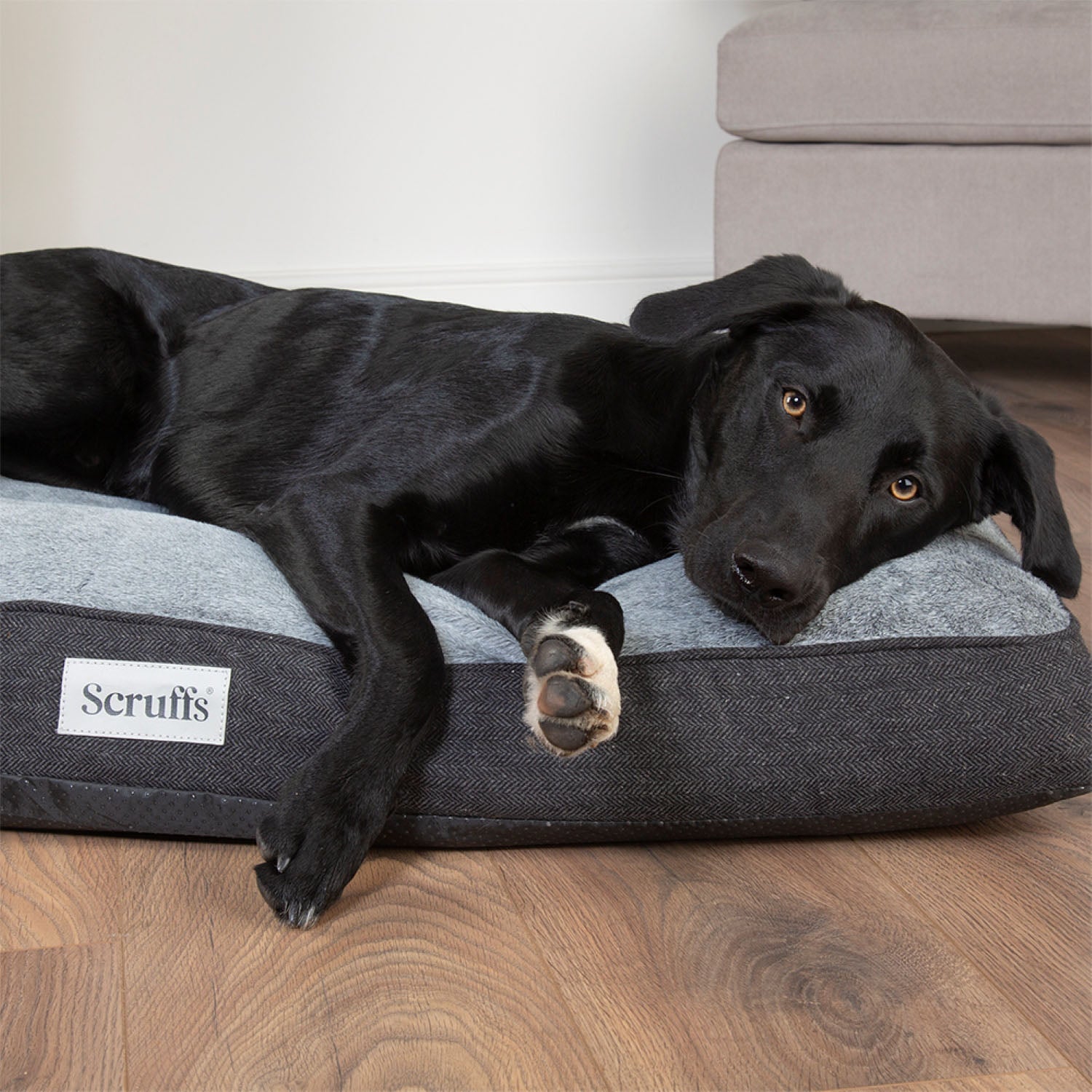 Scruffs Harvard Graphite Grey Memory Foam Orthopeadic Dog Mattress
