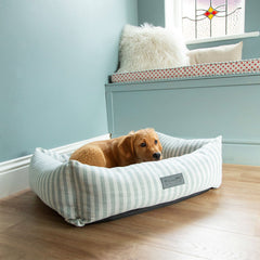 Scruffs Coastal Green Stripe Pet Dog Bed