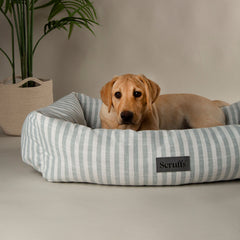 Scruffs Coastal Green Stripe Pet Dog Bed