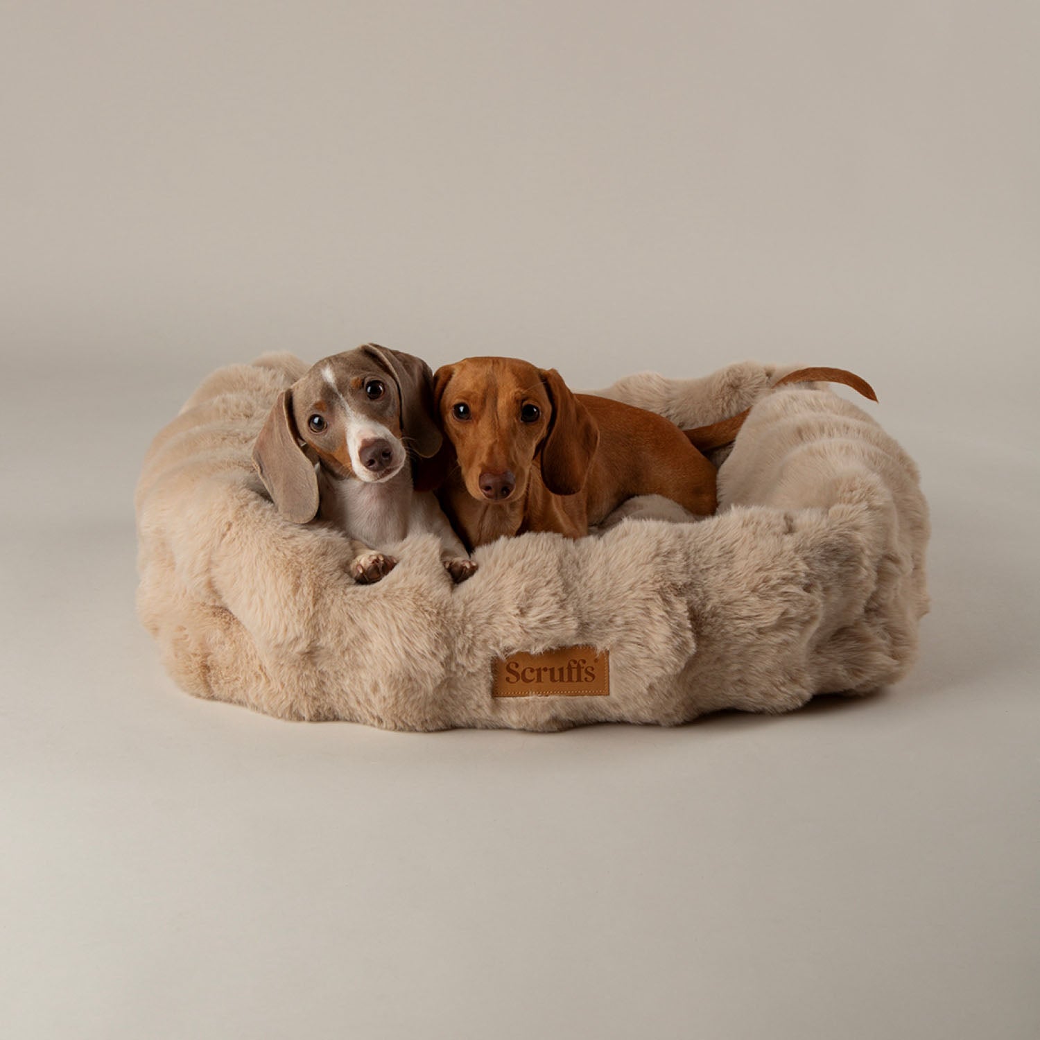 Scruffs Alpine Champagne Box Pet Bed