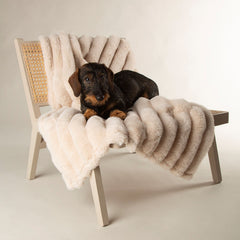 Scruffs Aspen Cream Faux Fur Pet Blanket