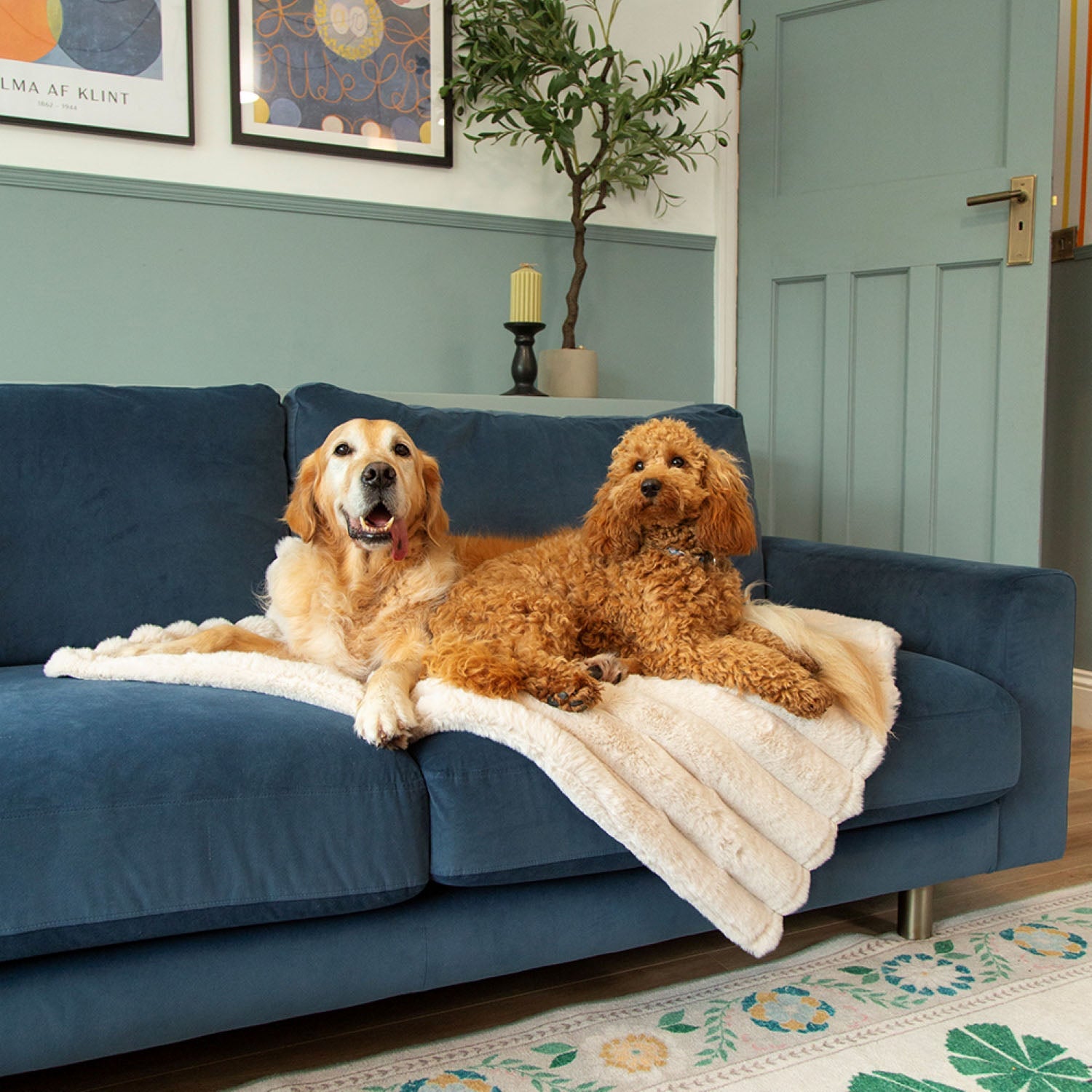 Scruffs Aspen Cream Faux Fur Pet Blanket