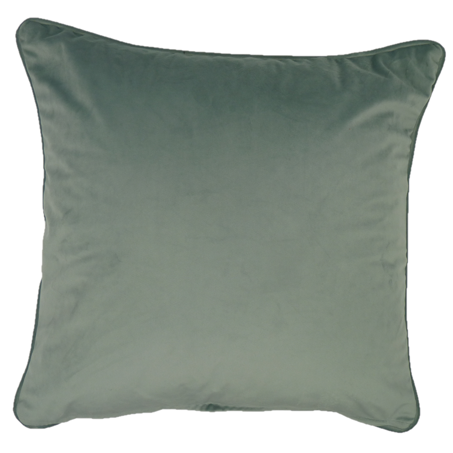 Amersham Duck Egg Blossom Cushion Cover (45cm x 45cm)