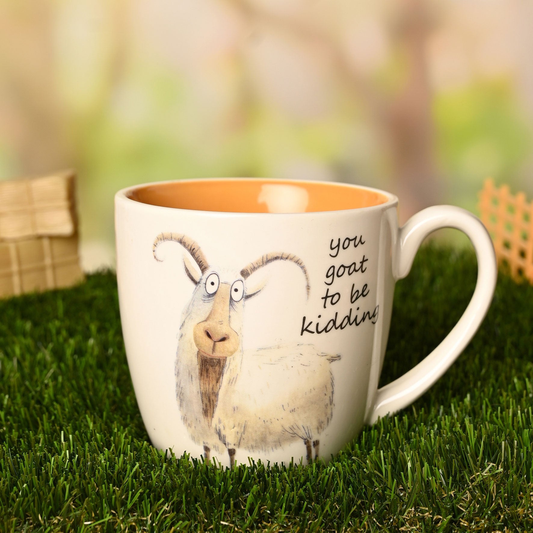 The Funny Farm Mug You Goat to be Kidding