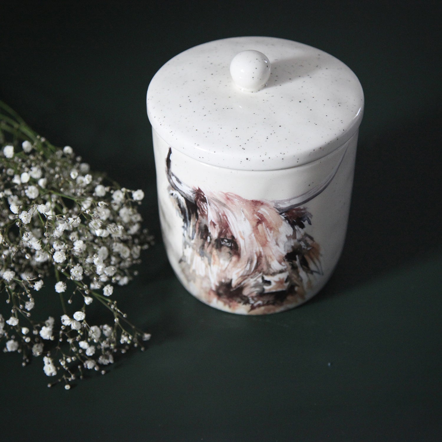 Meg Hawkins Highland Cow Storage Canister