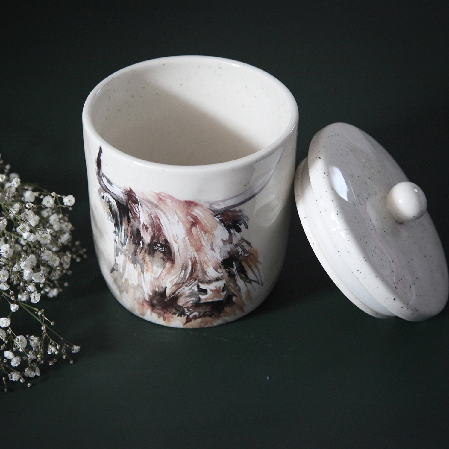 Meg Hawkins Highland Cow Storage Canister
